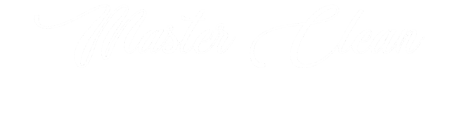 landing page_ master clean_ 0 logo